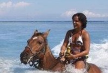Horseback Ride N' Swim